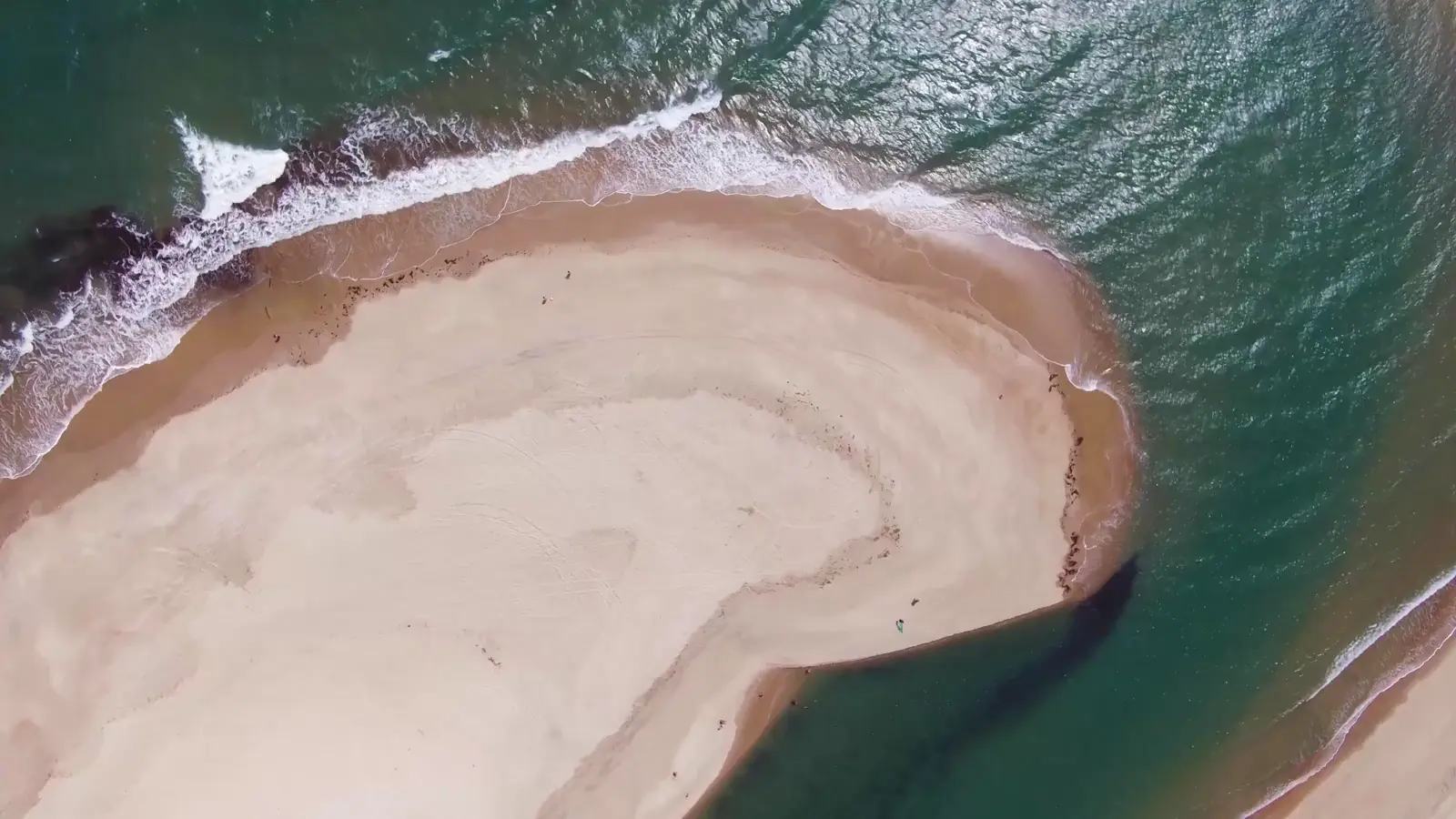 Aerial view of the Southwest Florida coastline